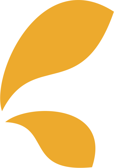 hoja